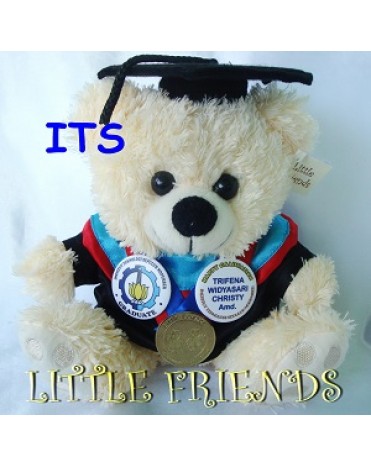 Boneka Wisuda Institut Teknologi Sepuluh Nopember - Teknik (25 cm)